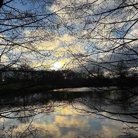 De La Vergne Adriers