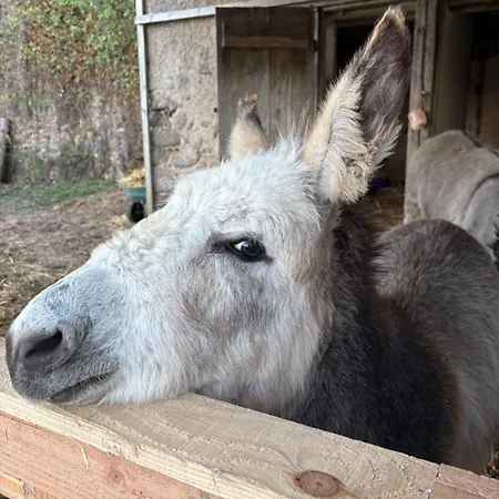 Hébergement de vacances De La Vergne