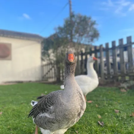 Hébergement de vacances De La Vergne Adriers