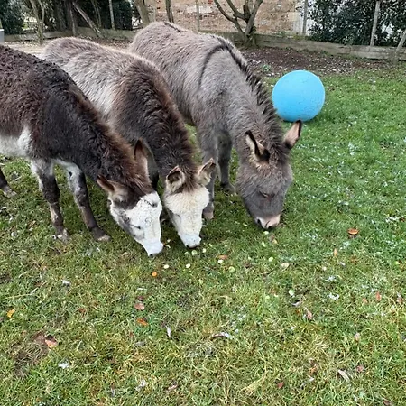 De La Vergne Adriers