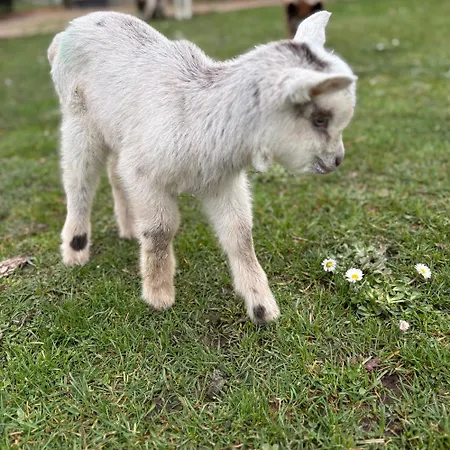 Hébergement de vacances De La Vergne